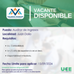 Auditor de Ingresos 