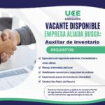 Auxiliar de Inventario