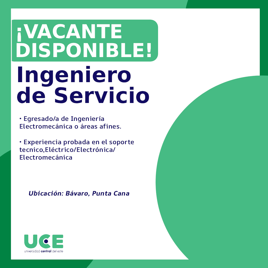 En este momento estás viendo Ingeniero de Servicio